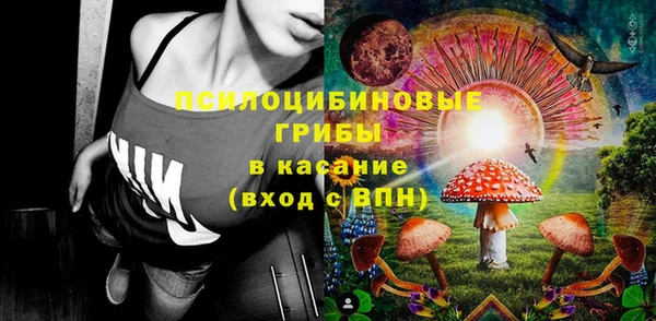 apvp Магас