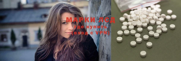 apvp Магас