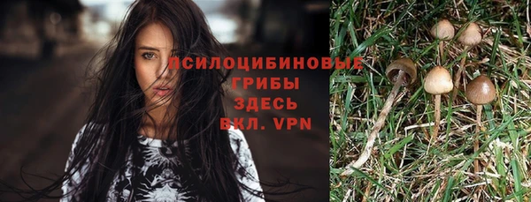 соль курить ск Майский
