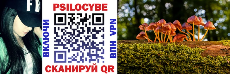 Псилоцибиновые грибы ЛСД наркота Юхнов